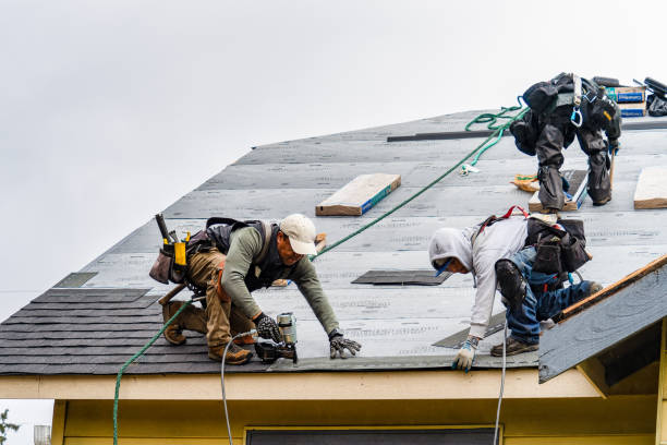 Professional Roofing technician working in Le Roy, IL